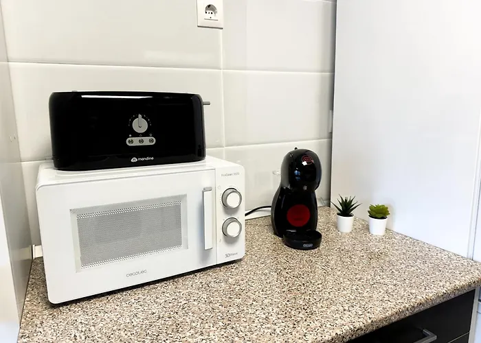 La Paloma Del Pilar - Turistea Saragosse